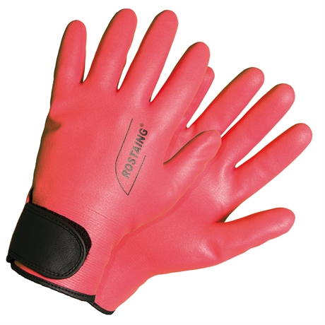 Gants Maxima - Travaux de plantation