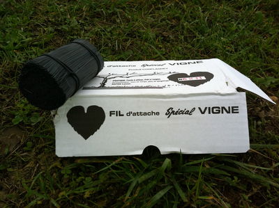 Fils PP liens pour palissage