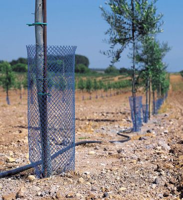 Gaines de protections des vignes PROTECTNET